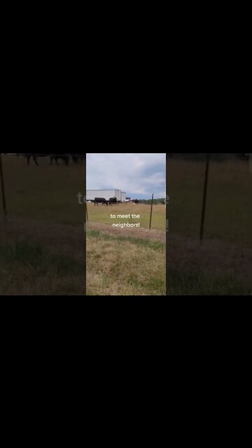 Summer car ride through the neighborhood