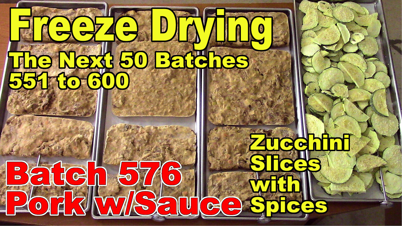 Freeze Drying - The Next 50 Batches - Batch 576 - Zucchini Slices w/Spices & Pork Pieces/Sauce