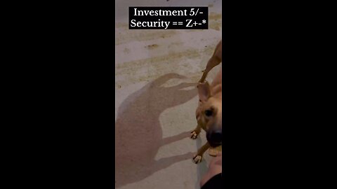 Street dong == Z+ security