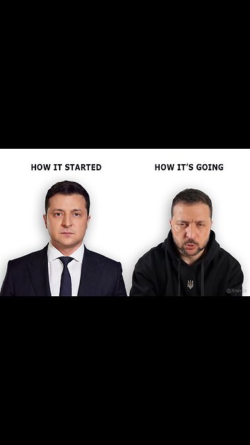 🐈 CAT OUT OF BAG 👜