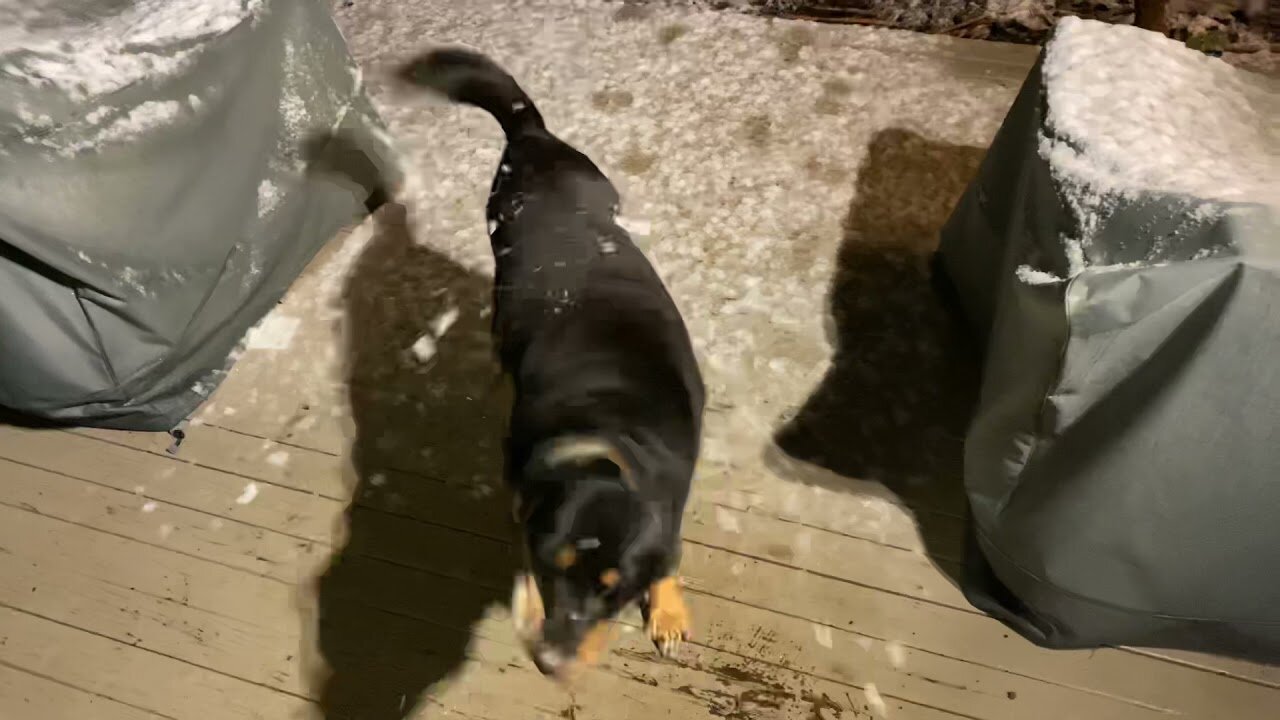 First snow of the year - giant flakes.