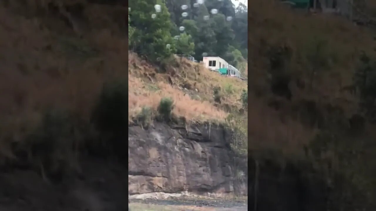 Ok. So calling the ducks home… you can hear this before you see it 😂