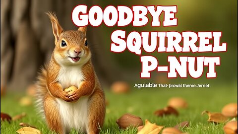 Saying Goodbye to TikTok's Famous Squirrel P Nut The Story That Broke The Internet 💔