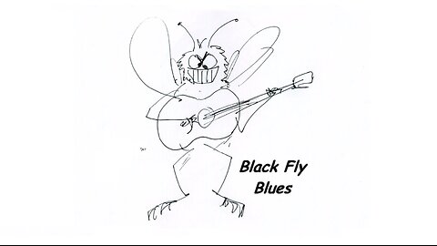 Black Fly Blues (2024)