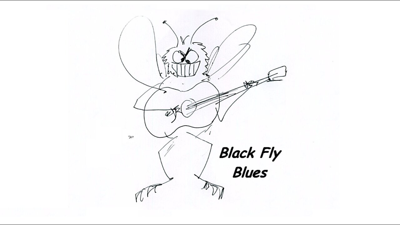 Black Fly Blues (2024)