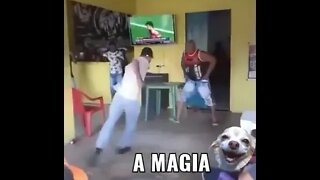 TODO MUNDO AMA E CONHECE A MAGIA DO BOTECO O MELHOR LUGAR DO MUNDO ( MEME ) ( VIRAL ) #shorts