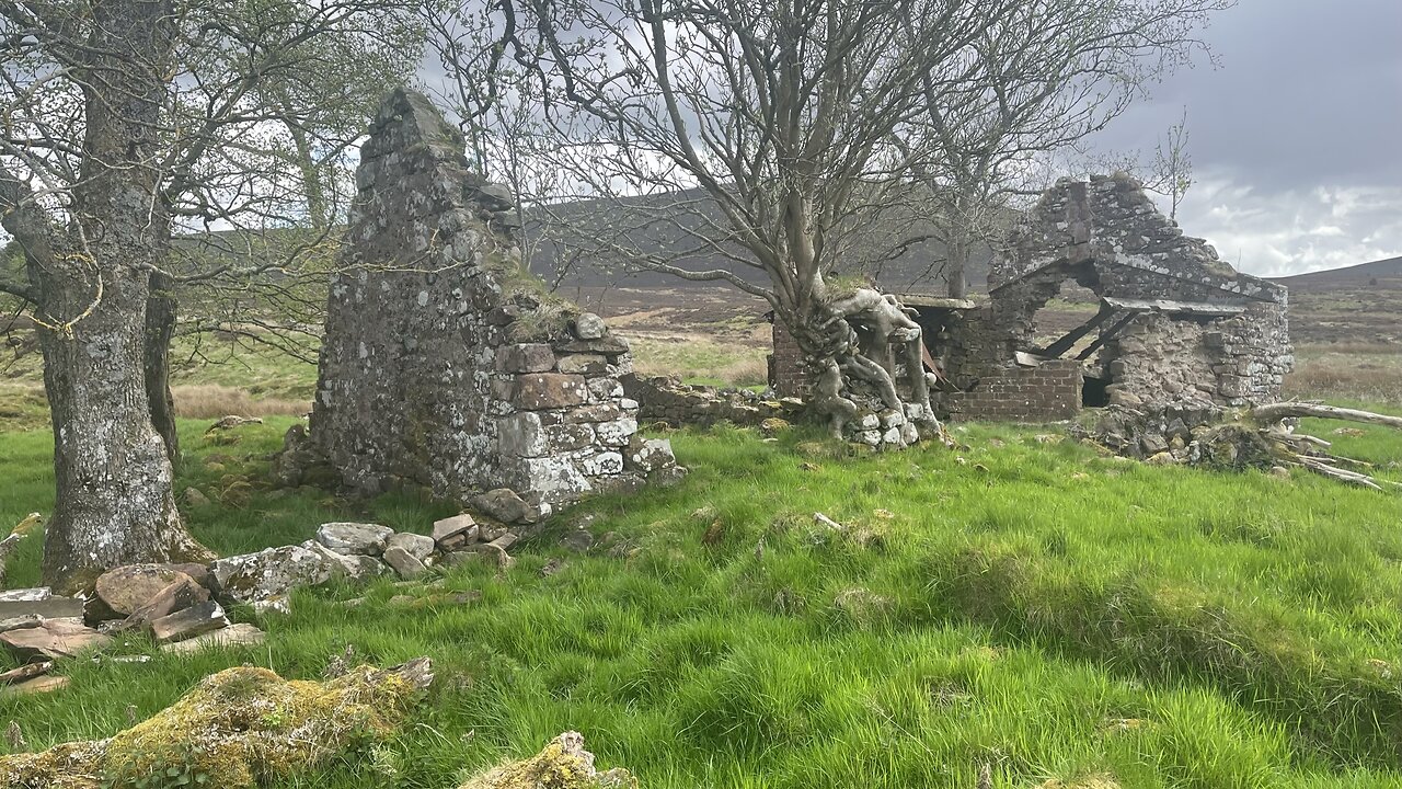 Thrashiedean Plantation and East Cairn loop