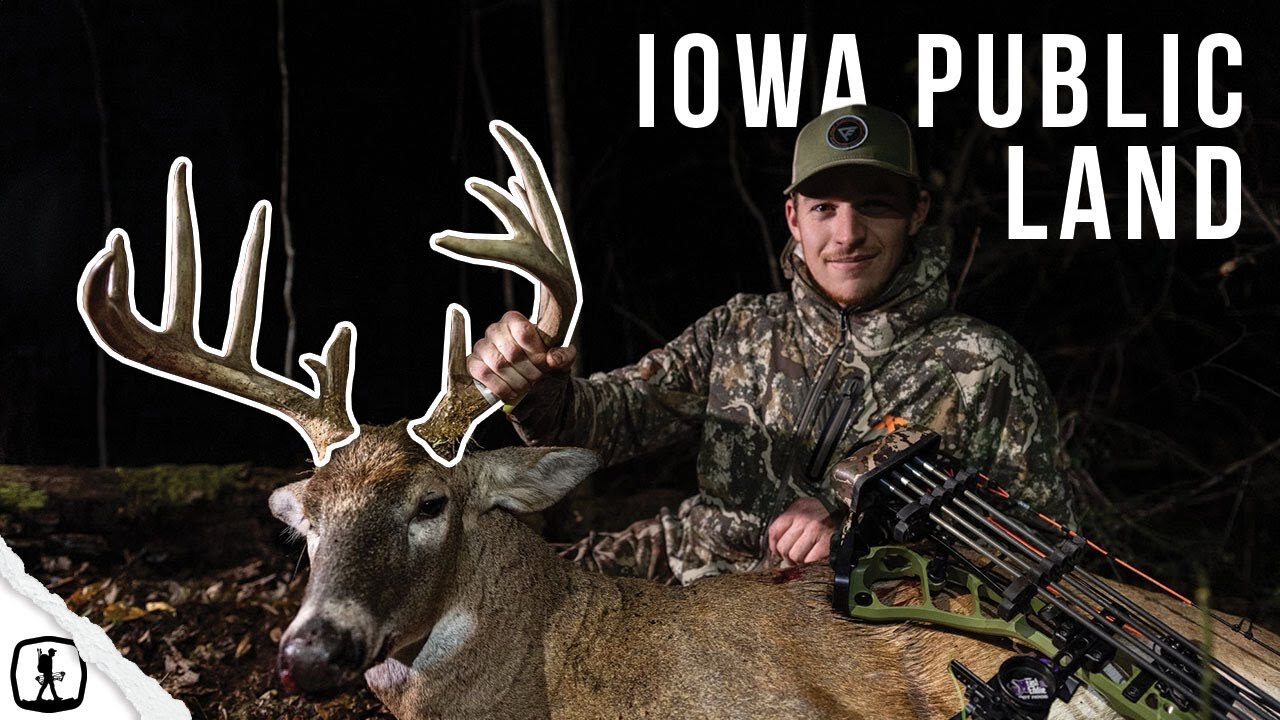 IOWA PUBLIC LAND Whitetail (BUCK DOWN!)