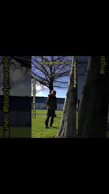 maurieo #shorts A PLACE IN THE SUN