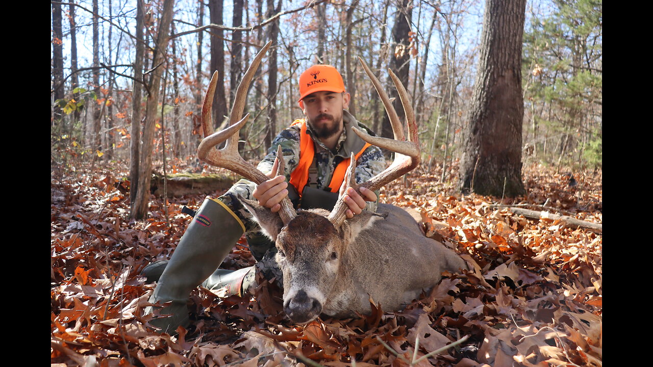 MISSOURI WHITETAIL BUCK