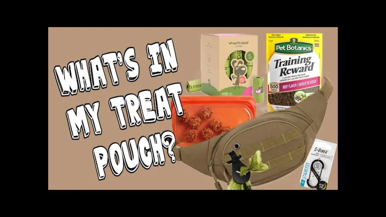 What's In My Dog Training Bag - Treat Pouch