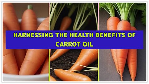 Harnessing the Health Benefits of Carrot Oil