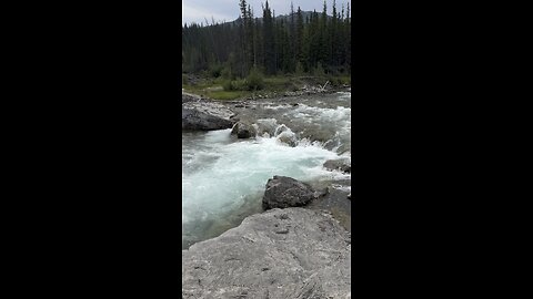 Elbow falls