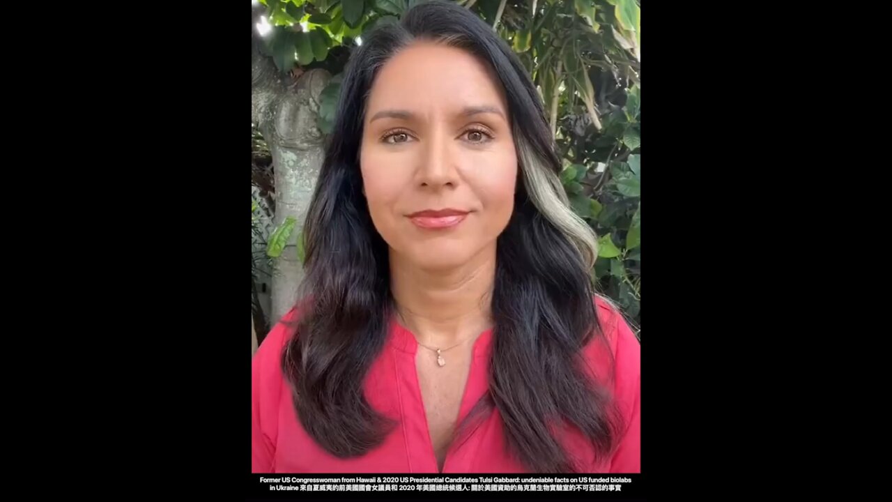 Tulsi Gabbard: undeniable facts on US funded biolabs in Ukraine