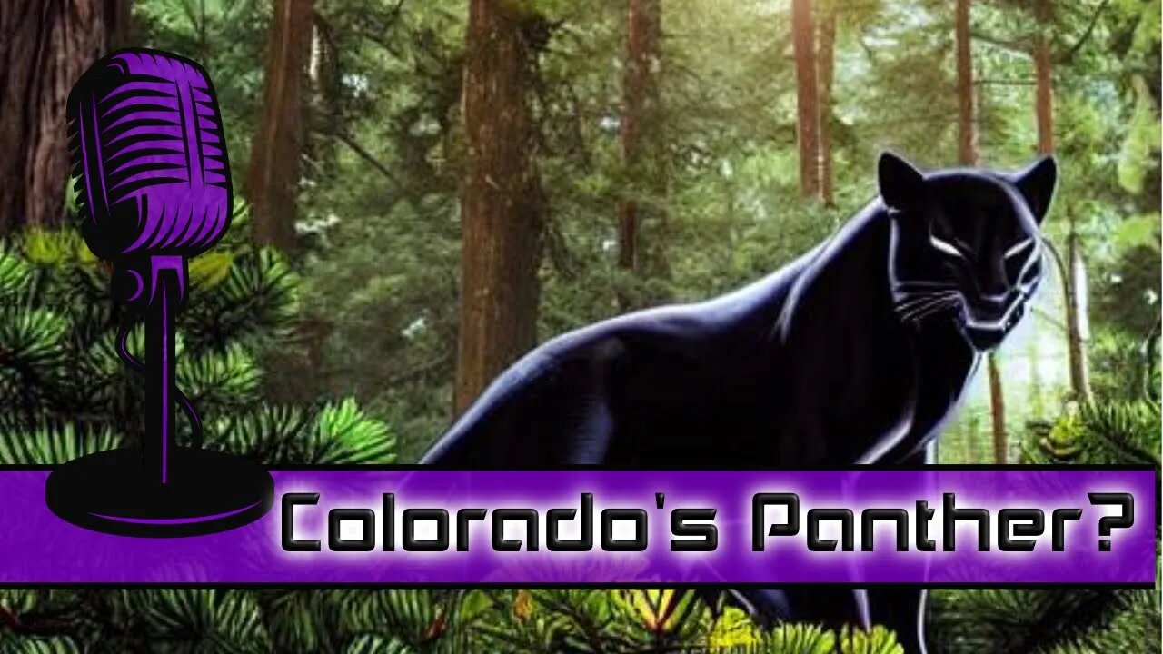 Mystery in Manitou Springs: Exploring Reports of Black Panther Sightings