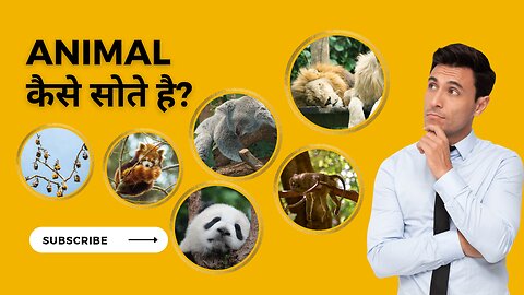 How Animal Sleep || जानवर कैसे सोते है ? || Grow Up Science