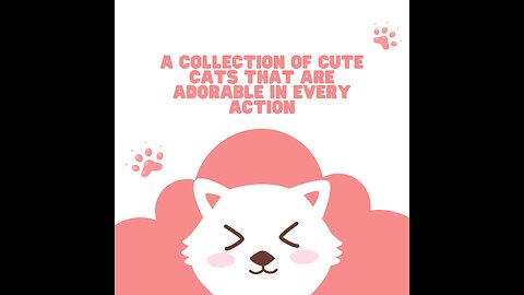 A Collection of Cute Cats that Are Adorable in Every Action
