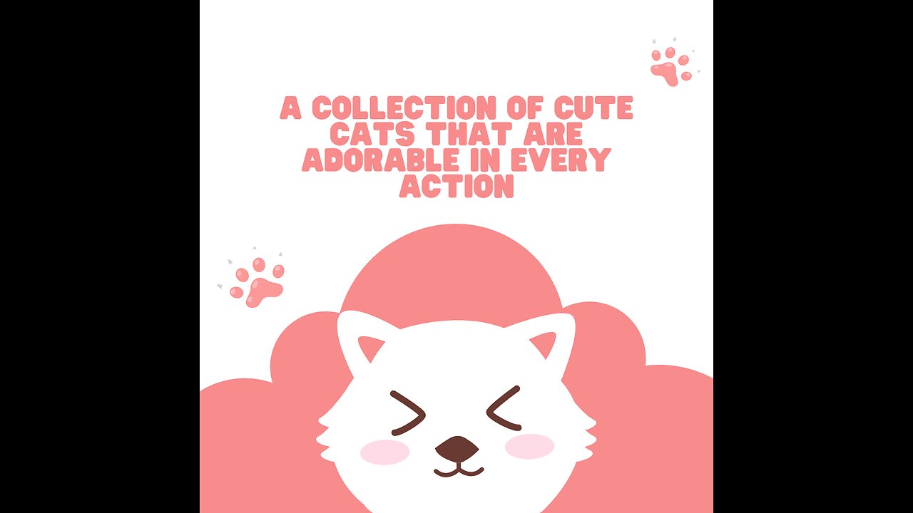 A Collection of Cute Cats that Are Adorable in Every Action