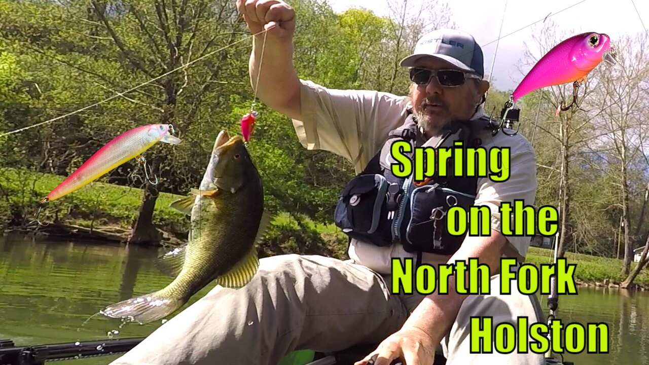 Current, Sun, Clouds, Wind, Lamprey on the North Fork Holston