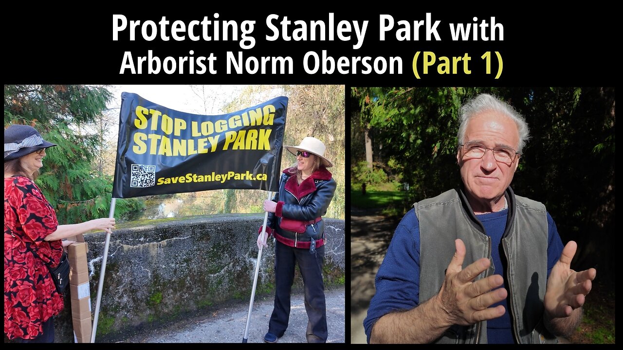 Protecting Stanley Park with Arborist Norm Oberson (Part 1)