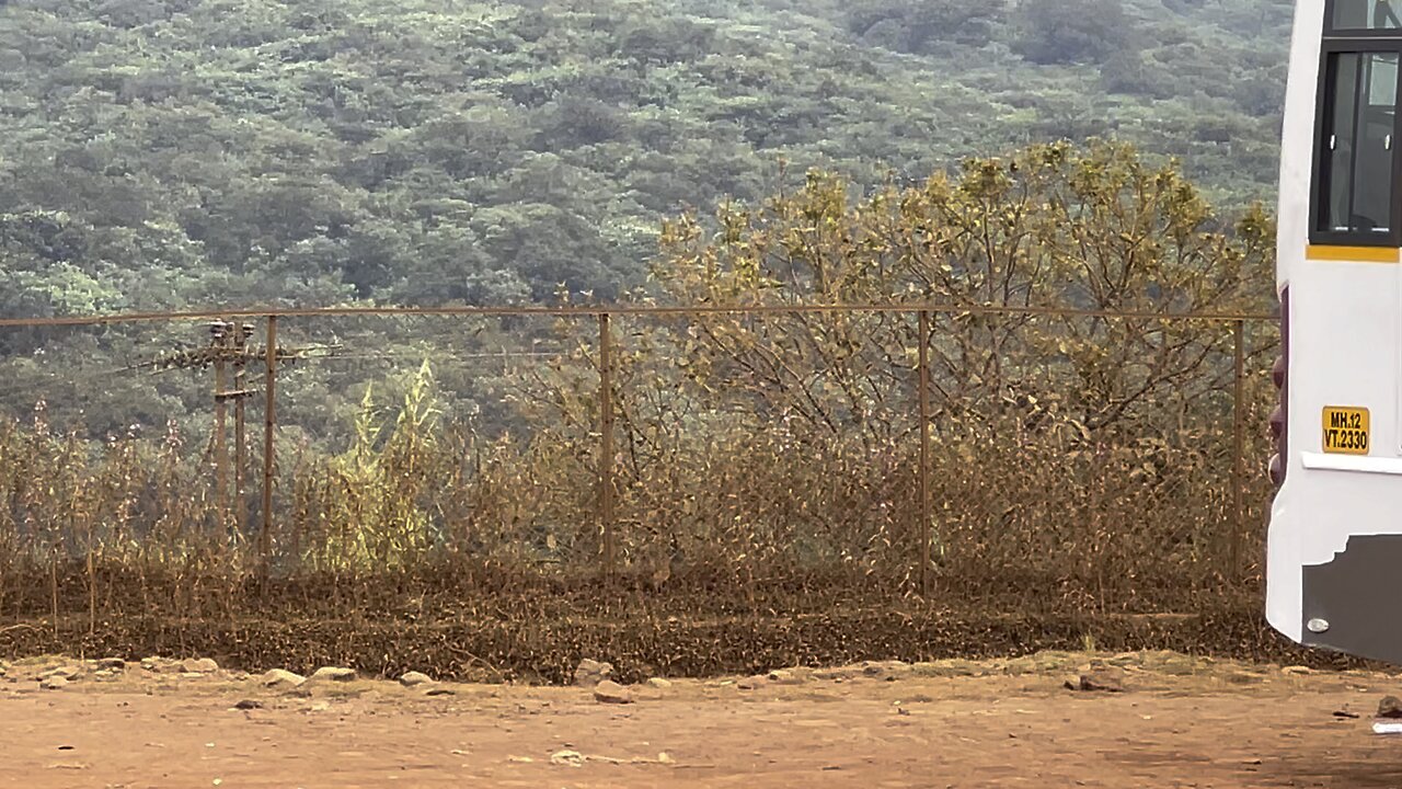 Horse riding , india