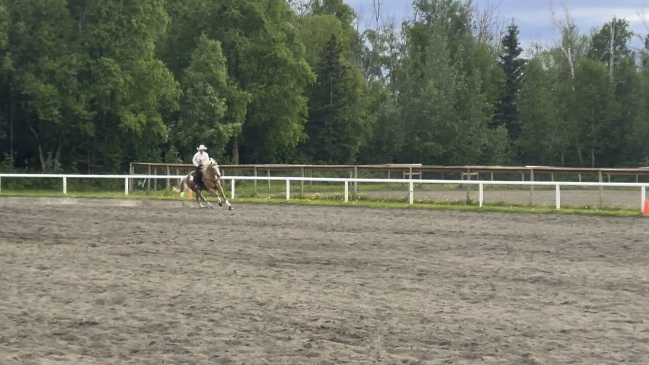 ASQHA Open Reining - June 8, 2024