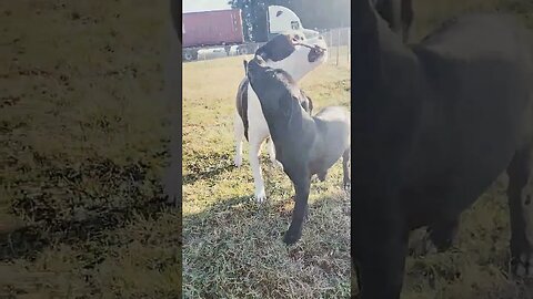 she got it away from him at the end