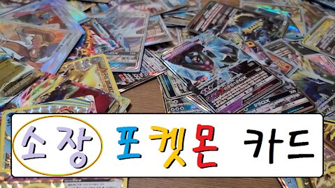 [포켓몬 카드] 소장 카드 전격 공개 (PokeMon Cards)