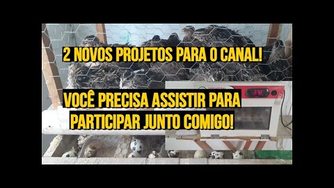 2 NOVOS PROJETOS PARA VOCÊ QUE ACOMPANHA O CANAL