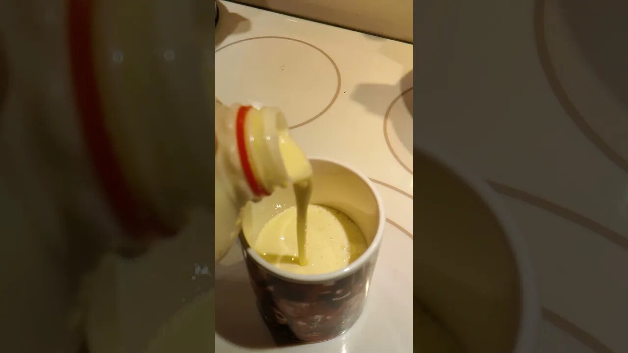 Pet Eggnog | pur a cup of Eggnog #eggnog #peteggnog #pet