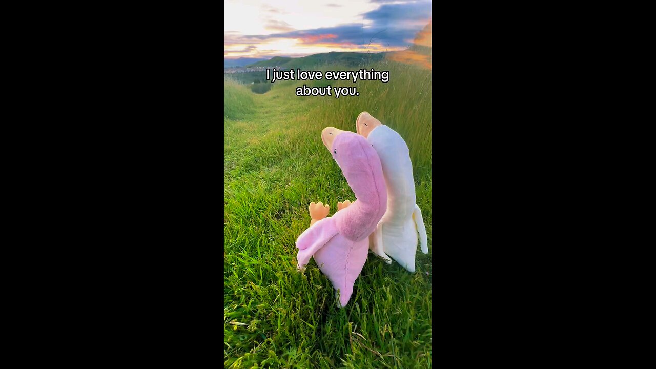 I just love everything about you #love #couple #relationship #relatable