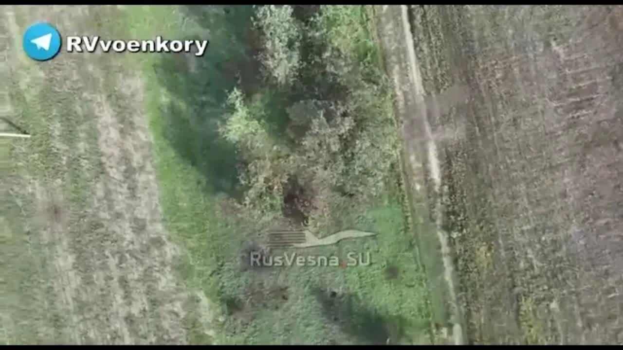 The 247th Cossack Regiment of the Airborne Forces hunts the AFU
