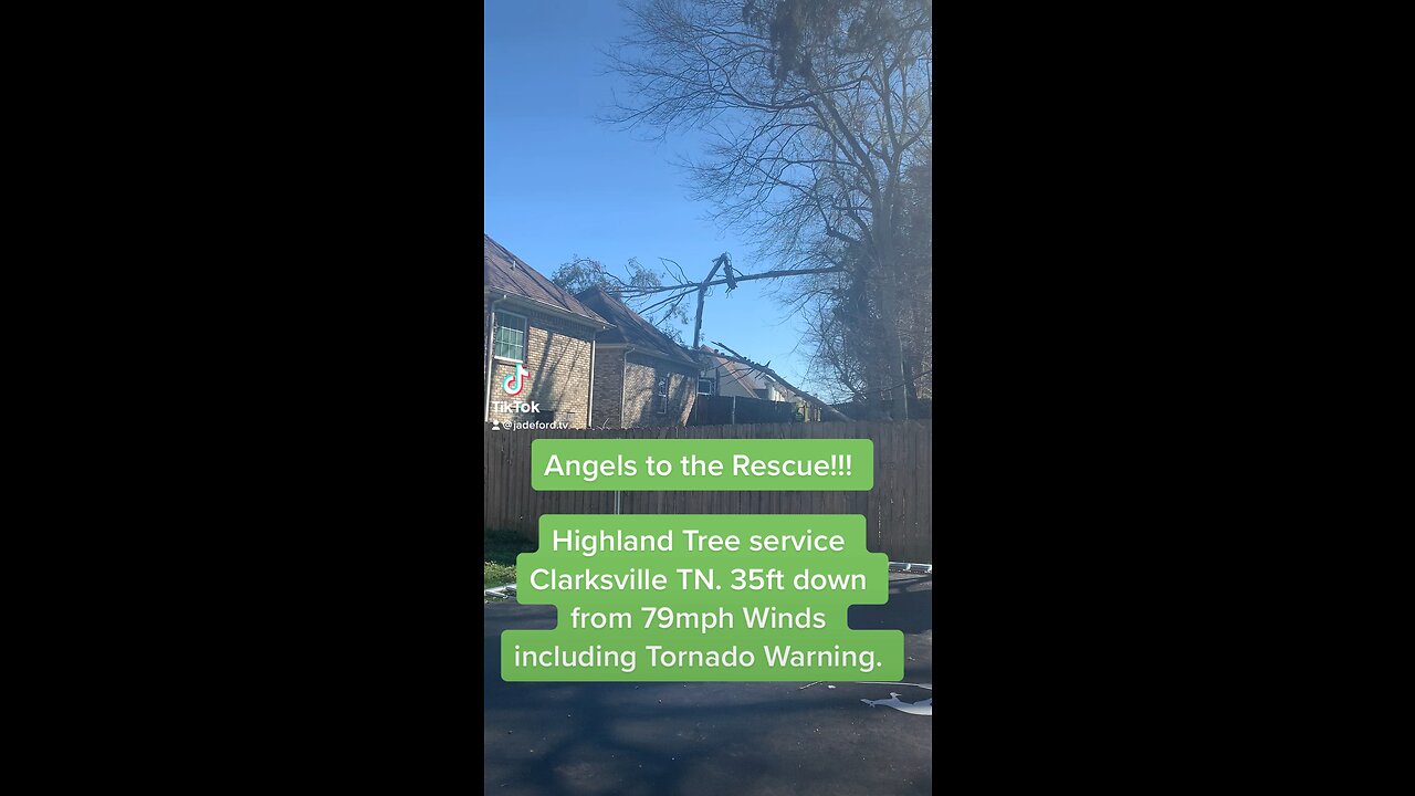 79mph winds sent a 35Ft tree down on a House