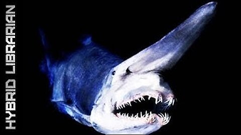 Deep Sea's 10 Most Amazing Creatures