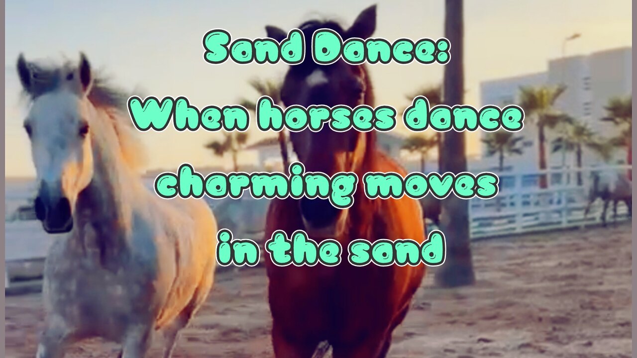 Sand Dance: When horses dance charming moves in the sand