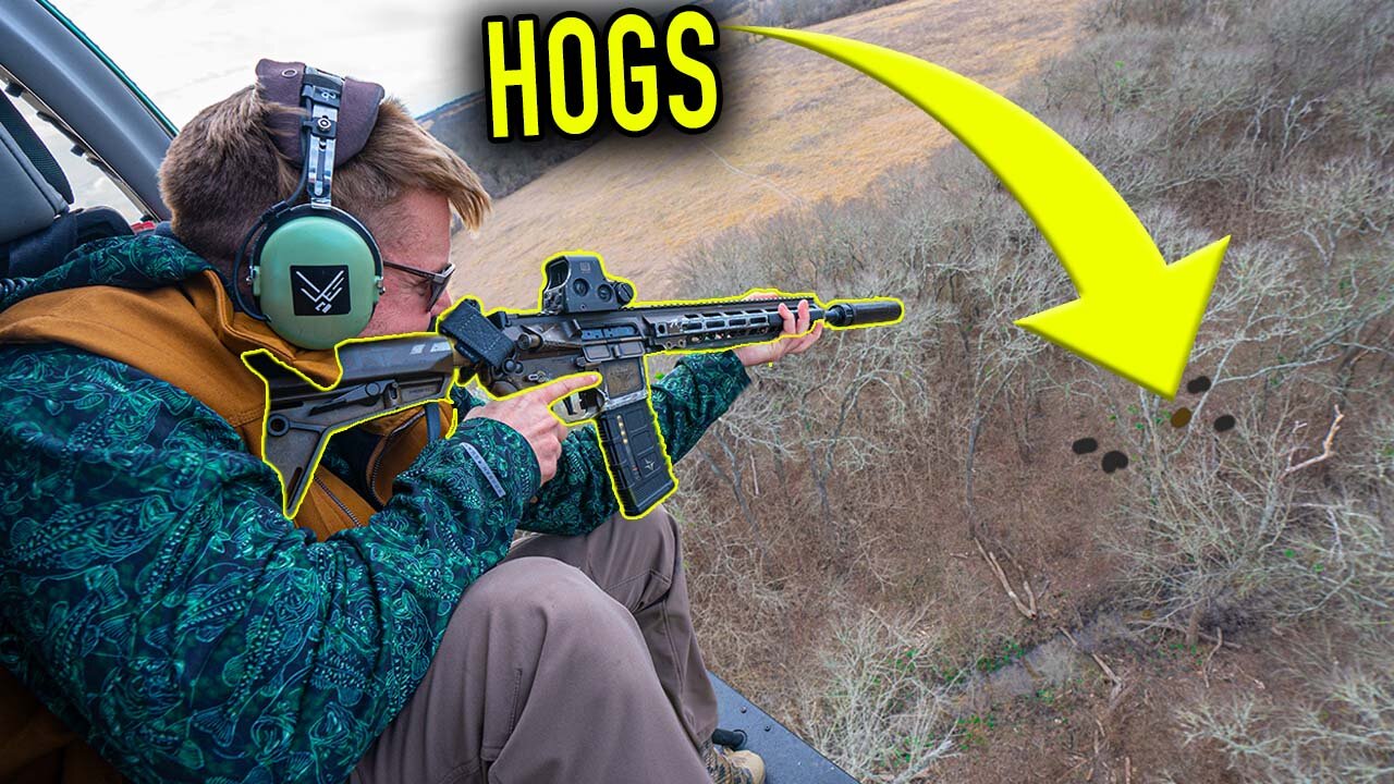 Helicopter Hog Hunting