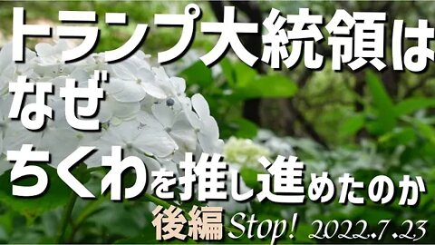 トランプ大統領は何故ちくわを推し進めたのか～後半～[日本語朗読]040723