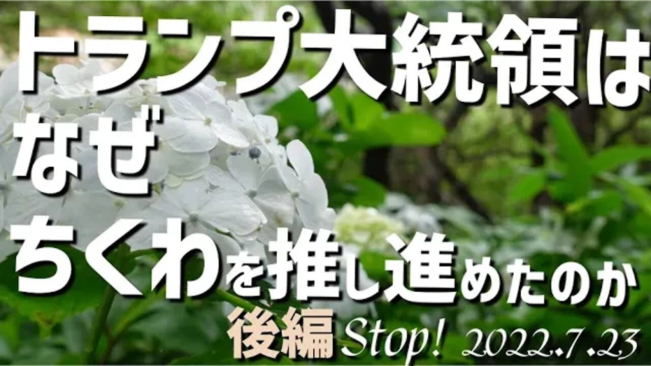 トランプ大統領は何故ちくわを推し進めたのか～後半～[日本語朗読]040723