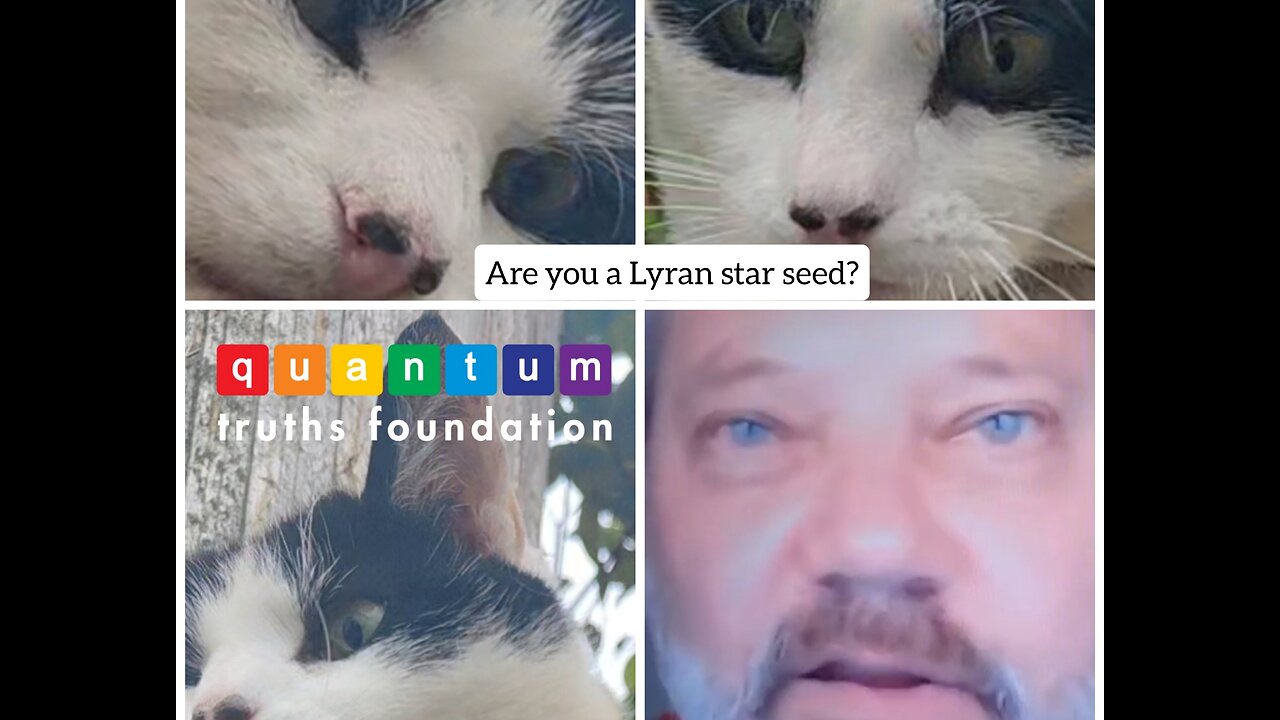 Are you a ⭐ Lyran star seed? ⭐