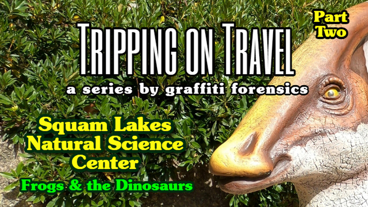 Tripping on Travel: Squam Lakes Natural Science Center, pt 2