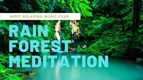 Rain Forest MEDITATION || MOST RELAXING MUSIC EVER ||