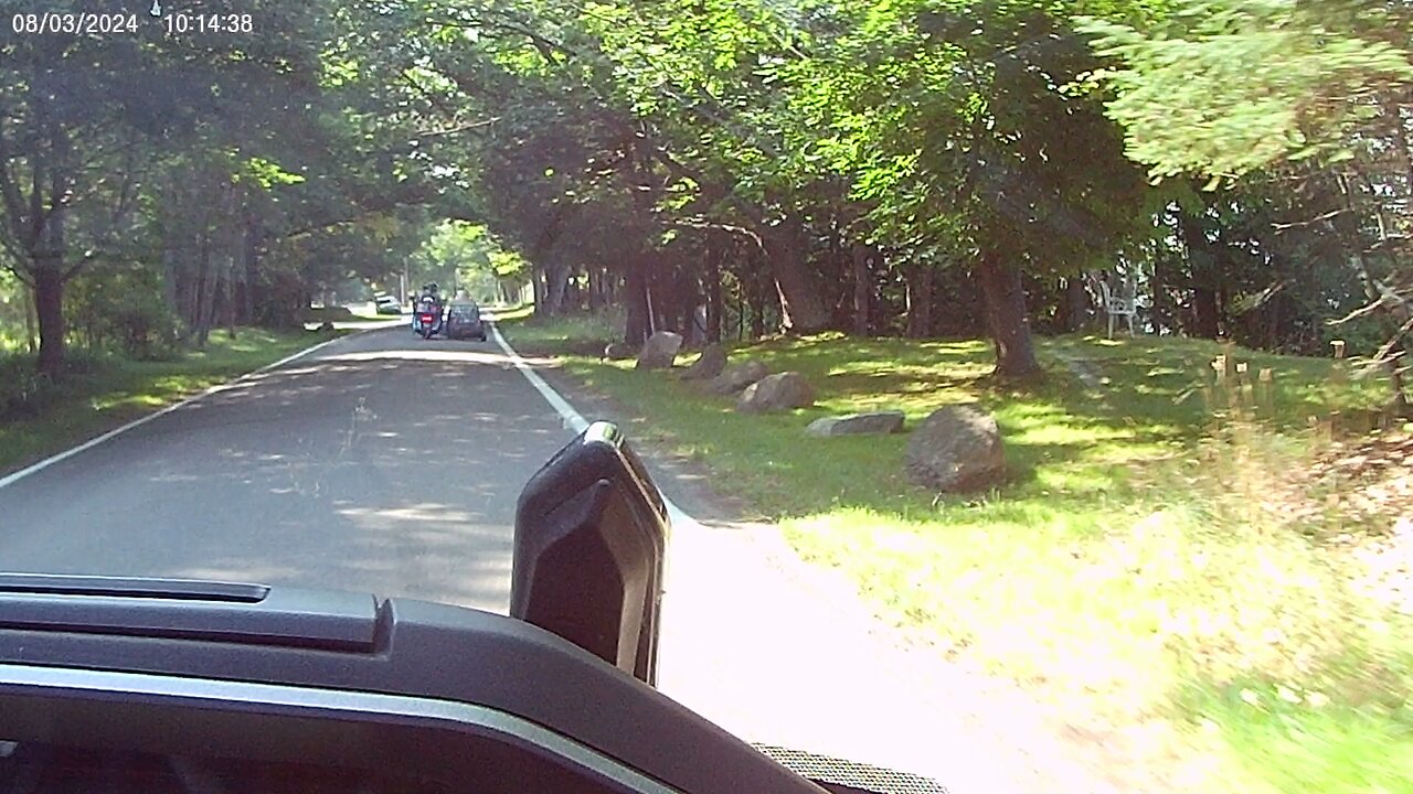 Tunnel of Trees