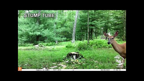 Stump Tube Episode #3