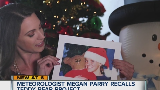 Megan's Teddy Bear Project