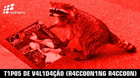 T1P05 DE V4L1D4ÇÃ0 (R4CC00N1NG R4CC00N)