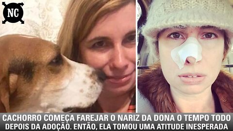 Cachorro começa farejar o nariz da dona o tempo todo depois da adoção. Então, ela tomou uma atitude