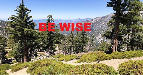 Through the Bible: Proverbs 26 for March 26, 2024
