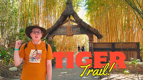 San Diego Zoo Safari Park's Hidden Gem: Tiger Trail Adventure!