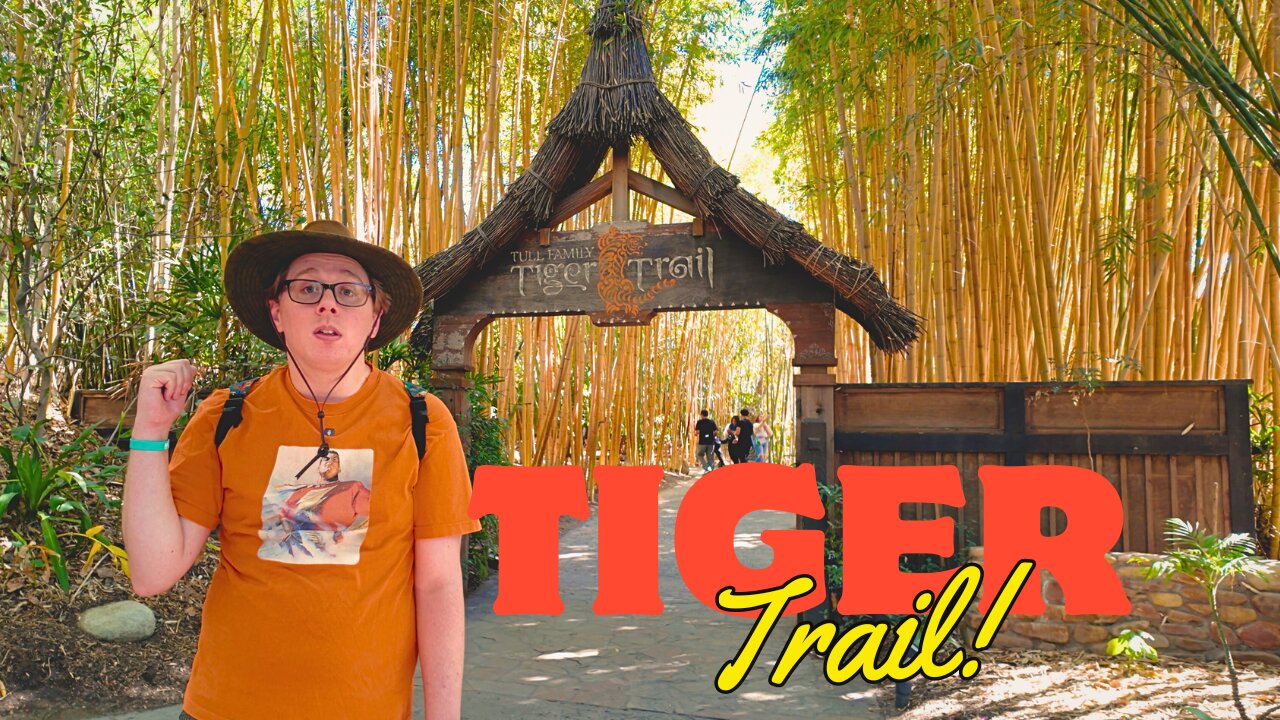 San Diego Zoo Safari Park's Hidden Gem: Tiger Trail Adventure!