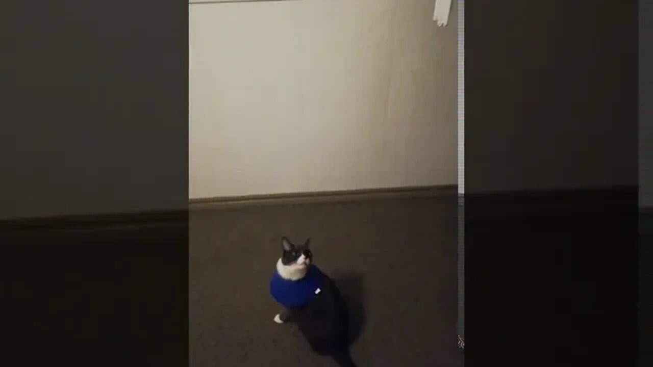 Escape is IM(POSSIBLE)!